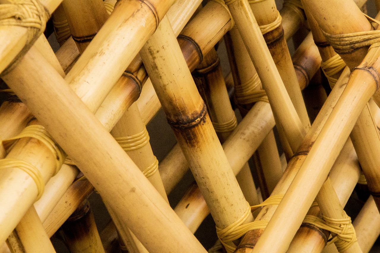 Bambusprodukte